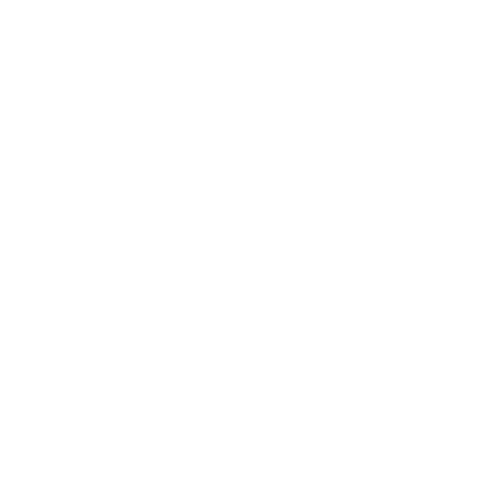 Healthcare icon