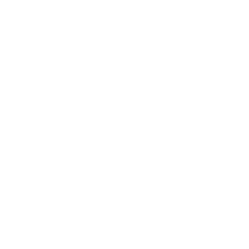 Travel icon