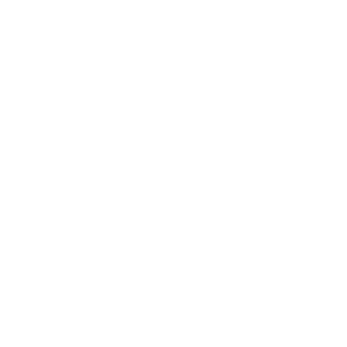 Insurance icon
