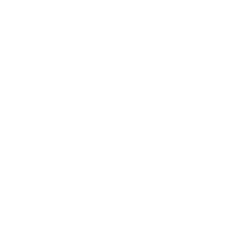 Automotive icon